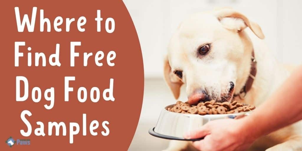 Free dog food samples